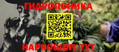 крисы Балахна