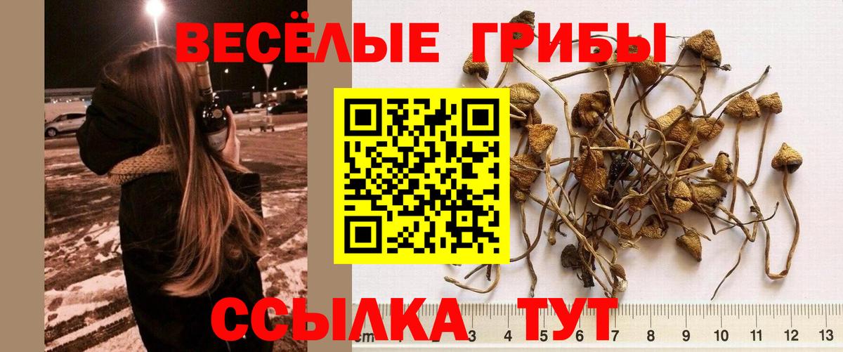 Галлюциногенные грибы мухоморы Ахтубинск