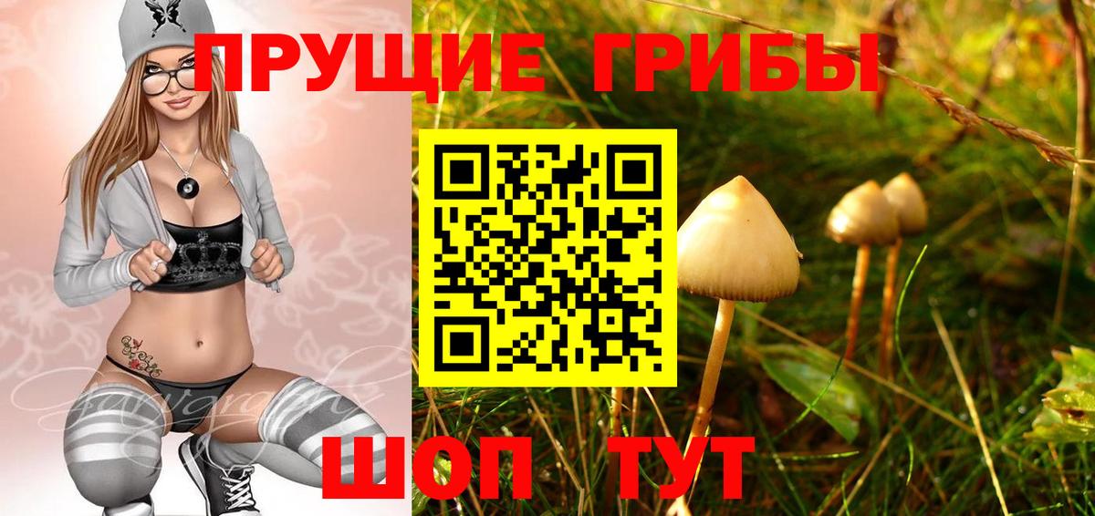Галлюциногенные грибы Psilocybine cubensis  Вход с VPN  Ахтубинск  Галлюциногенные грибы Magic Shrooms 